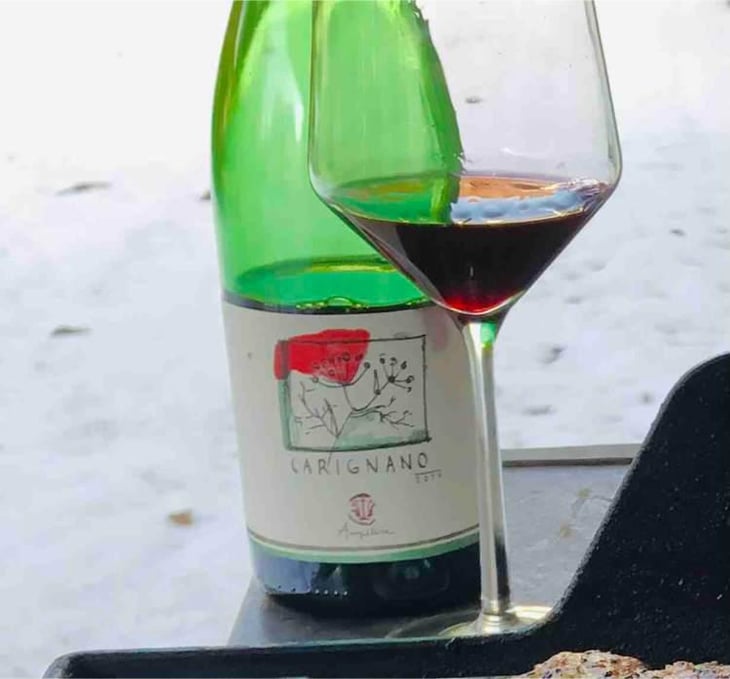 Carignano - Ampeleia - Marco Tait 