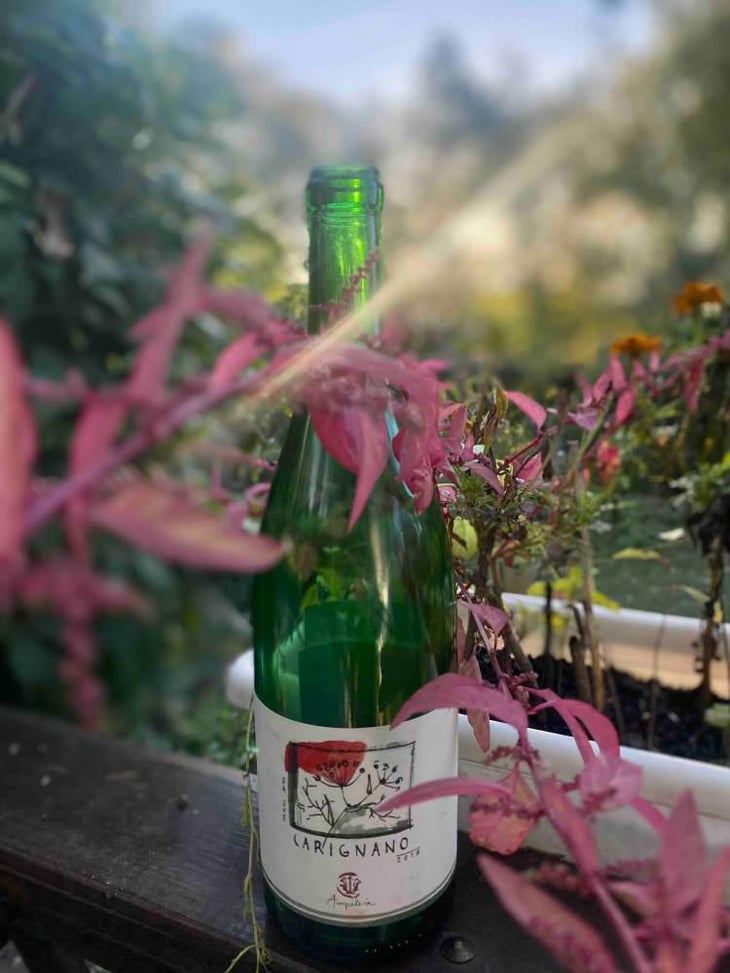Carignano - Ampeleia - Marco Tait 