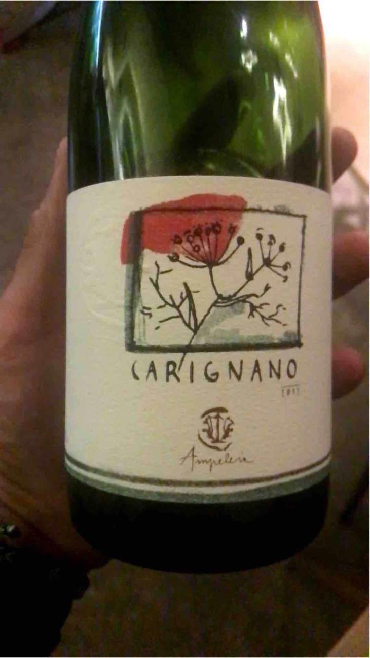 Carignano - Ampeleia - Marco Tait 