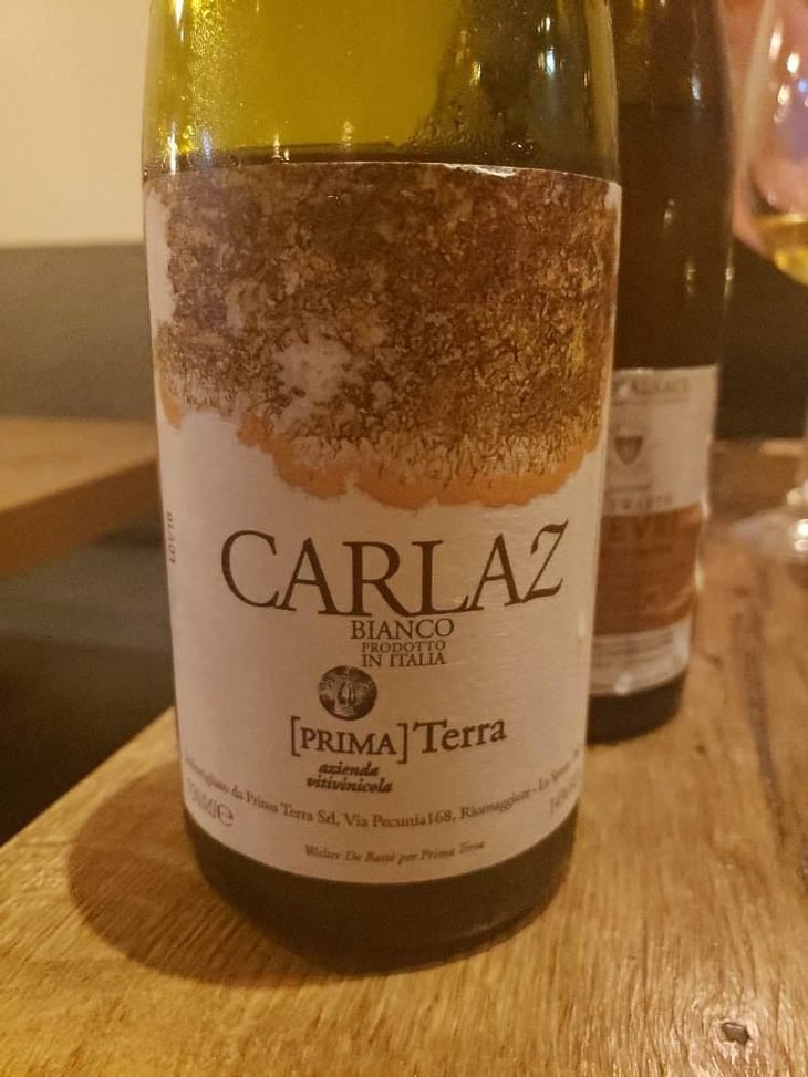 Carlaz - Primaterra - Walter De Batté 
