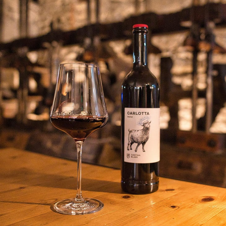Carlotta - Cantina Blass - Familie Blass -2020