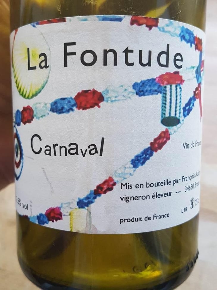 Carnaval - La Fontude - François Aubry & Sophie Valin 