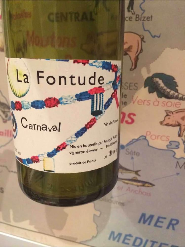 Carnaval - La Fontude - François Aubry & Sophie Valin 