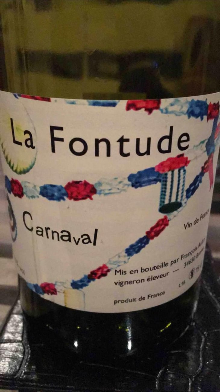 Carnaval - La Fontude - François Aubry & Sophie Valin 