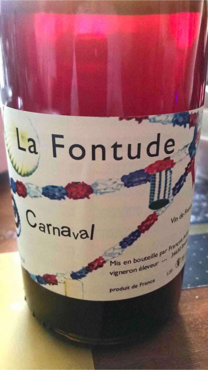 Carnaval - La Fontude - François Aubry & Sophie Valin 