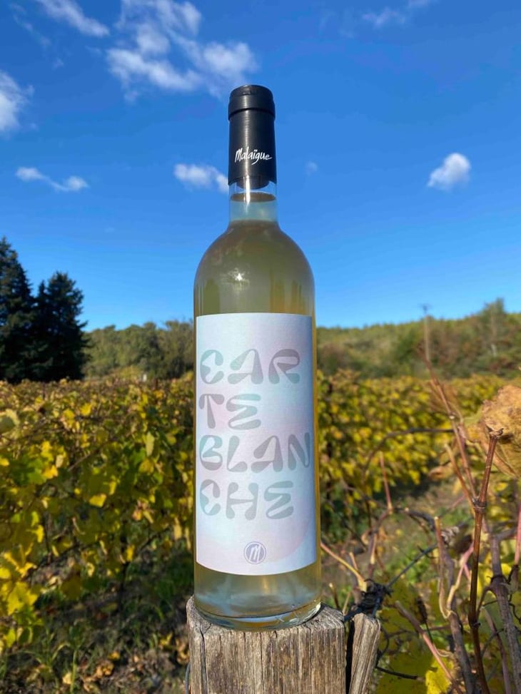 Carte blanche - Domaine de Malaïgue - Francois Reboul -2023