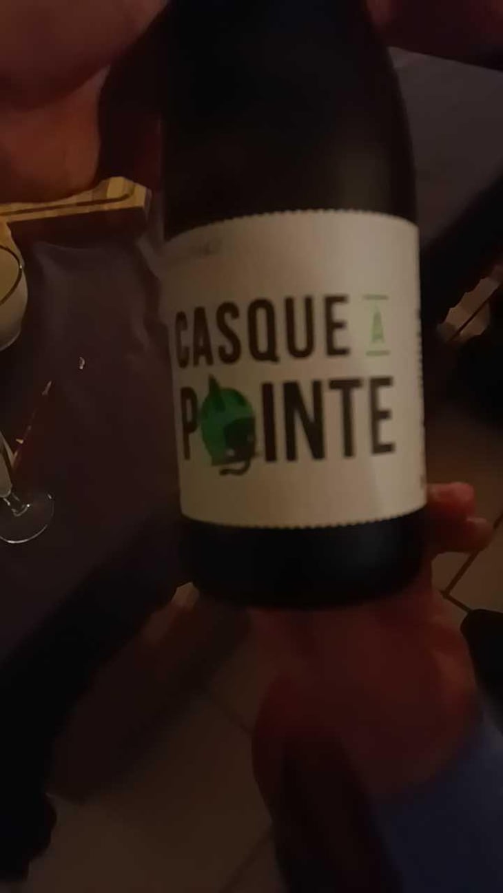 Casque à Pointe - Domaine L'Oustal des Roumegueurs - Jean-Marc Bergé 