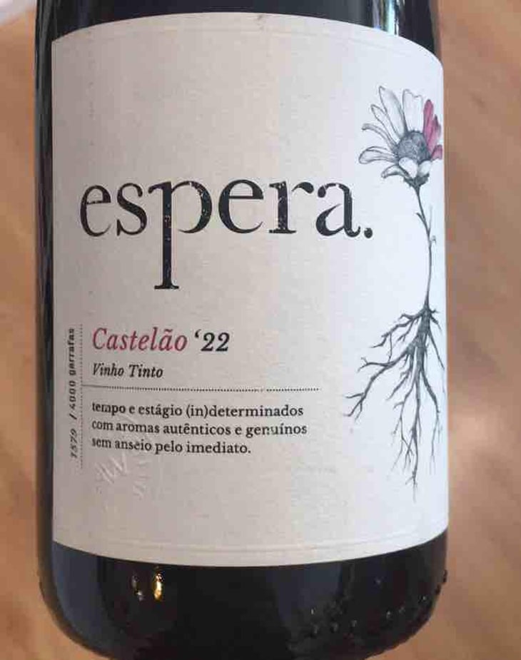 Espera Castelão - Espera Wines - Rodrigo Martins 