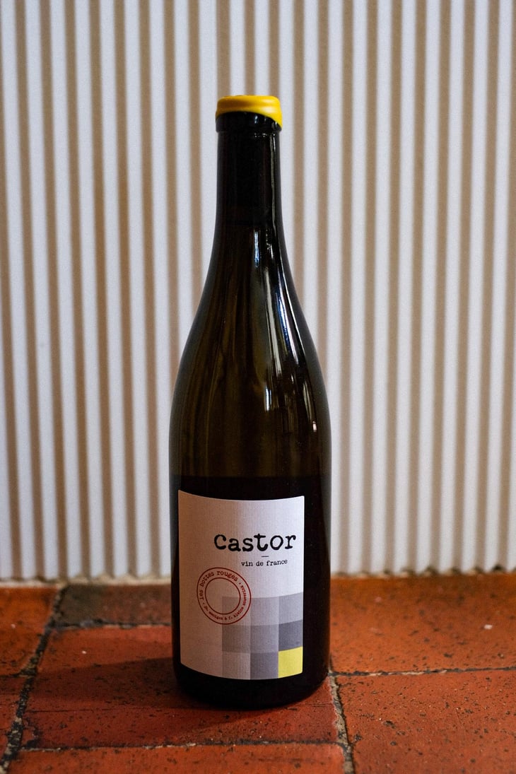 Castor - Les Bottes Rouges - Florien Klein Snuverink & Jean-Baptiste Menigoz 