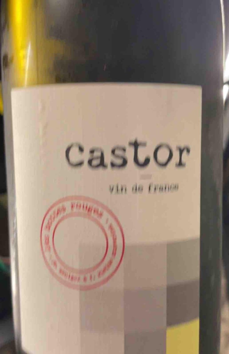 Castor - Les Bottes Rouges - Florien Klein Snuverink & Jean-Baptiste Menigoz 