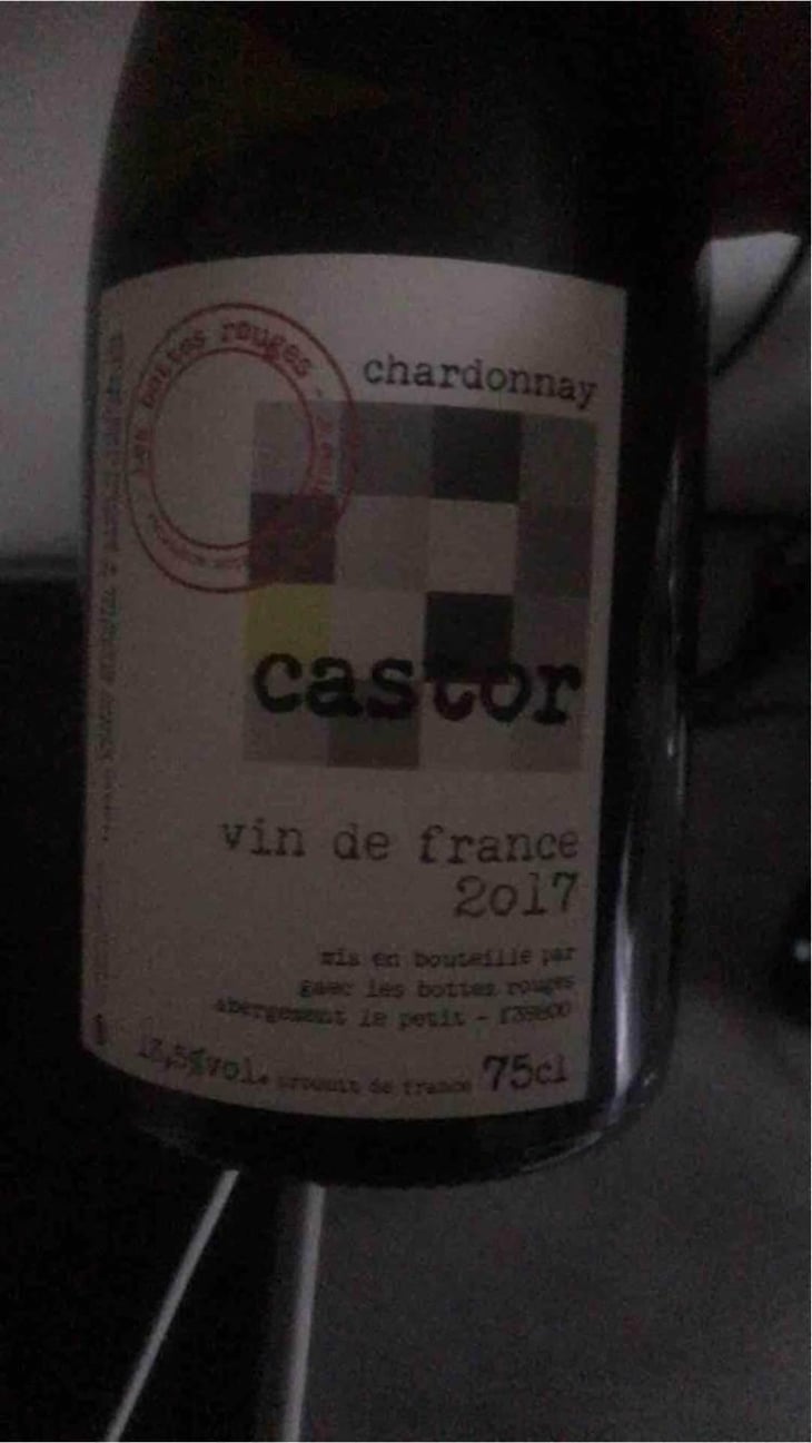 Castor - Les Bottes Rouges - Florien Klein Snuverink & Jean-Baptiste Menigoz 