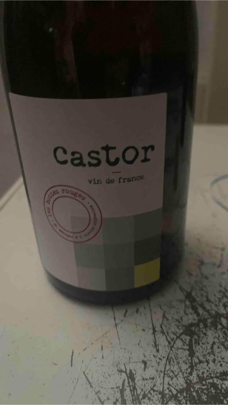 Castor - Les Bottes Rouges - Florien Klein Snuverink & Jean-Baptiste Menigoz 