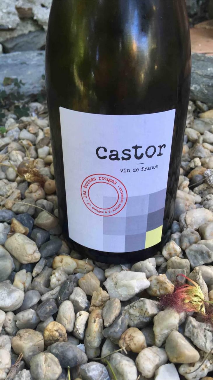 Castor - Les Bottes Rouges - Florien Klein Snuverink & Jean-Baptiste Menigoz 