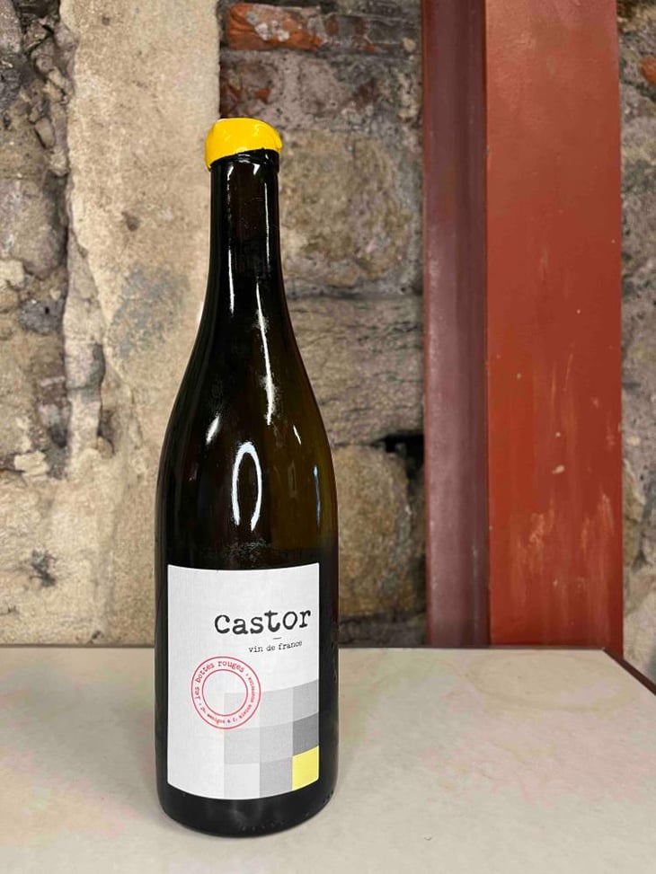Castor - Les Bottes Rouges - Florien Klein Snuverink & Jean-Baptiste Menigoz 