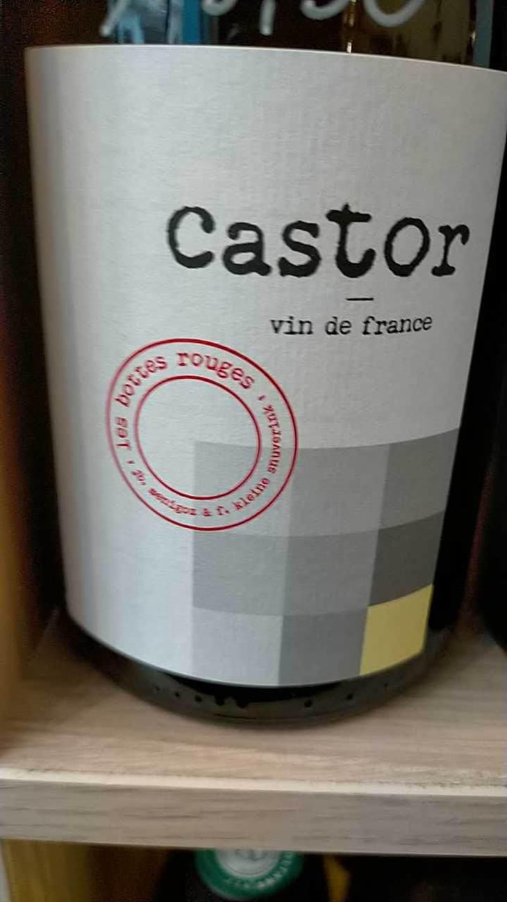Castor - Les Bottes Rouges - Florien Klein Snuverink & Jean-Baptiste Menigoz 