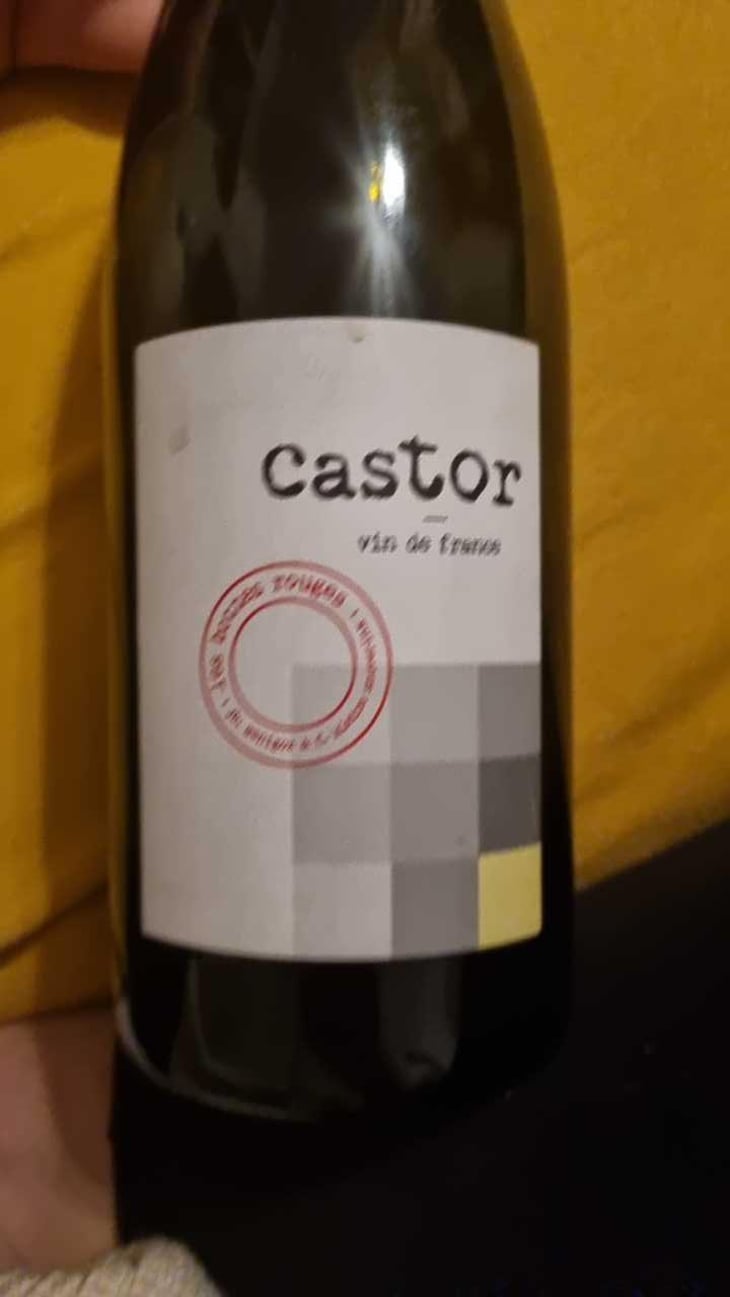 Castor - Les Bottes Rouges - Florien Klein Snuverink & Jean-Baptiste Menigoz 