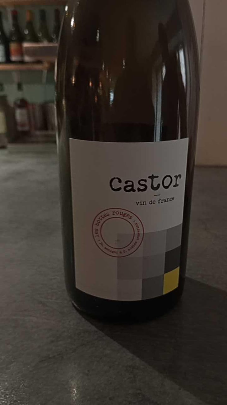 Castor - Les Bottes Rouges - Florien Klein Snuverink & Jean-Baptiste Menigoz 