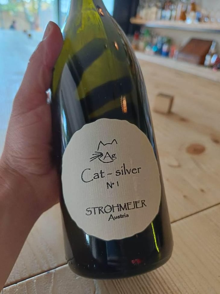 Cat-Silver N°1 - Strohmeier - Franz Strohmeier 