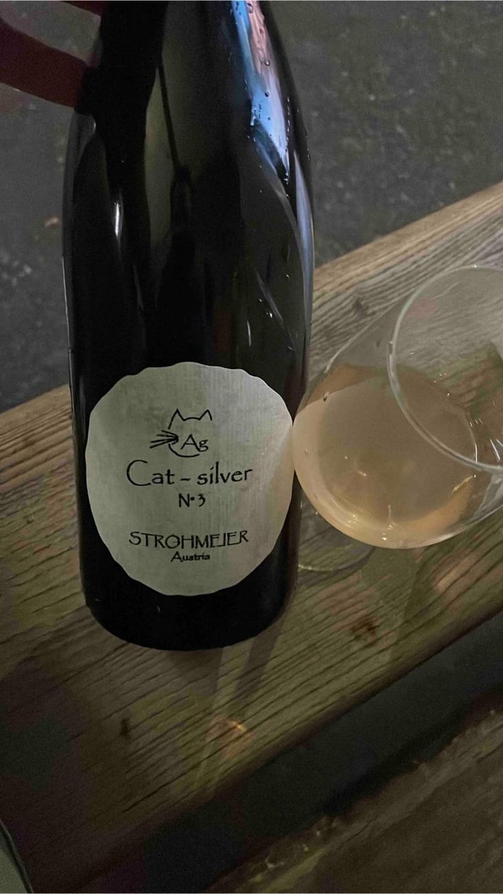 Cat-Silver N°3 - Strohmeier - Franz Strohmeier -2021