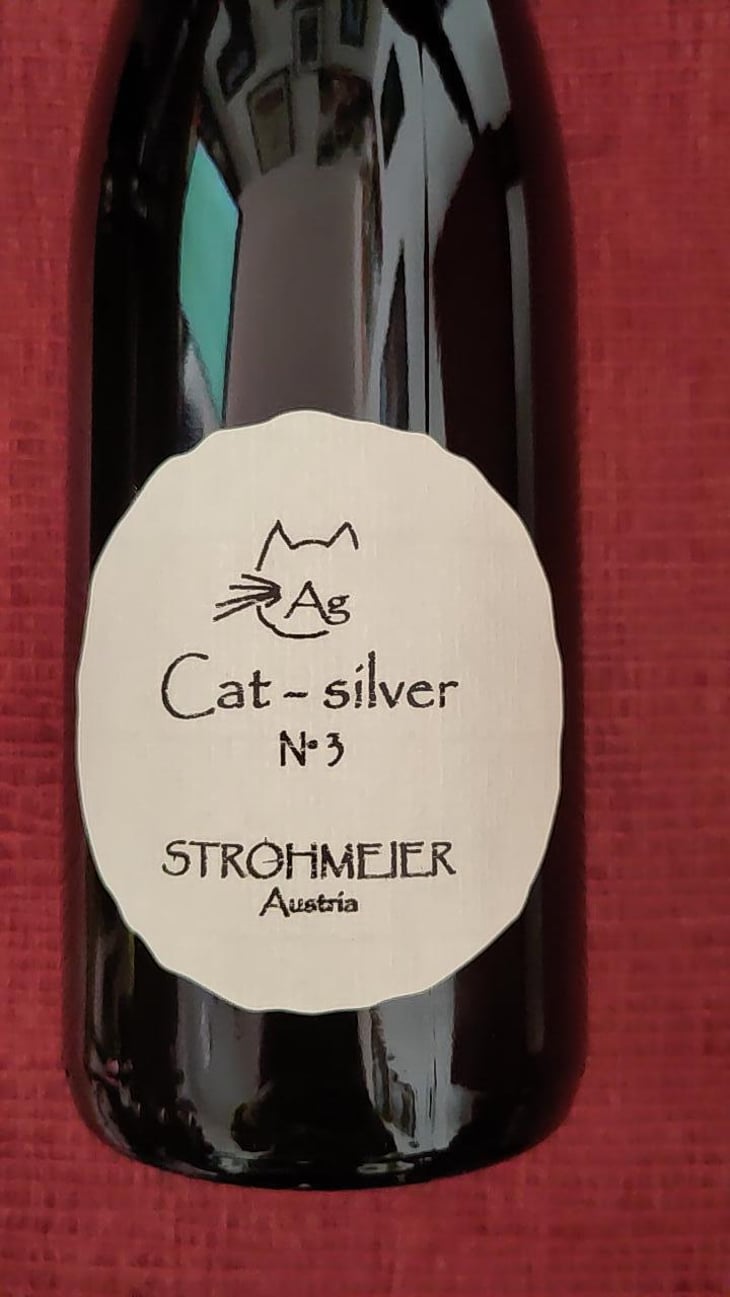 Cat-Silver N°3 - Strohmeier - Franz Strohmeier -2021