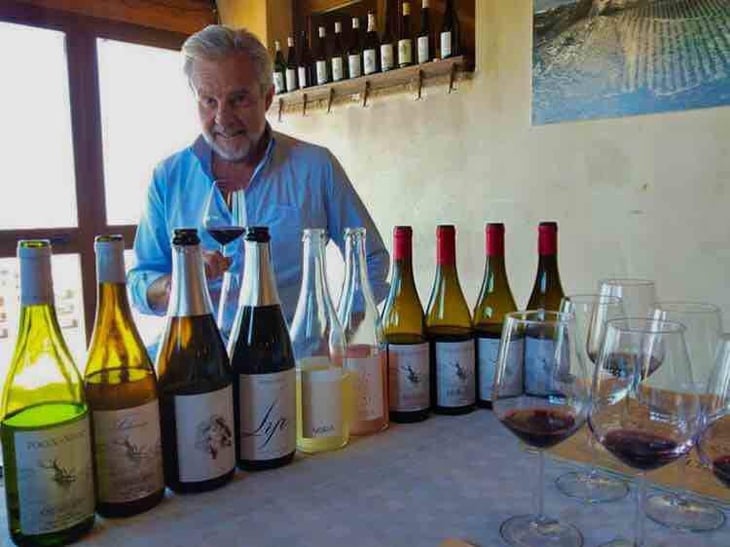 Catarratto - Azienda Agricola Porta del Vento - Marco Sferlazzo 