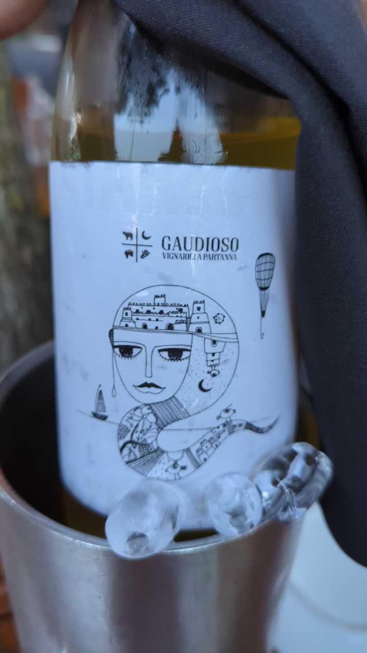Catarratto - Azienda Agricola Gaudioso - Antonio & Rosa Gaudioso 