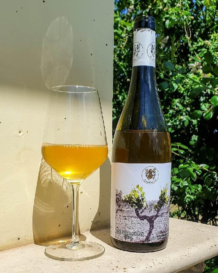 Catarratto - Vini Barraco - Antonino Barraco 