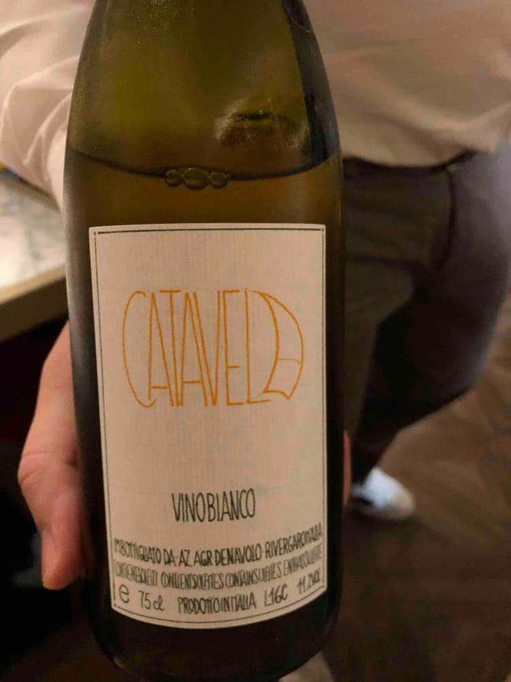 Catavela - Azienda Agricola Denavolo - Giulio Armani 