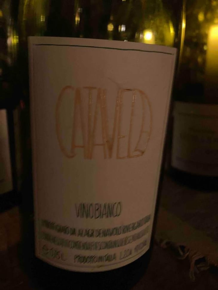 Catavela - Azienda Agricola Denavolo - Giulio Armani 