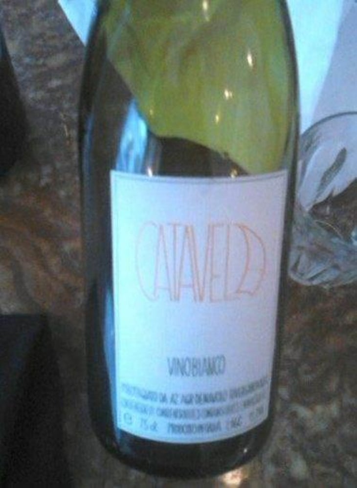 Catavela - Azienda Agricola Denavolo - Giulio Armani 