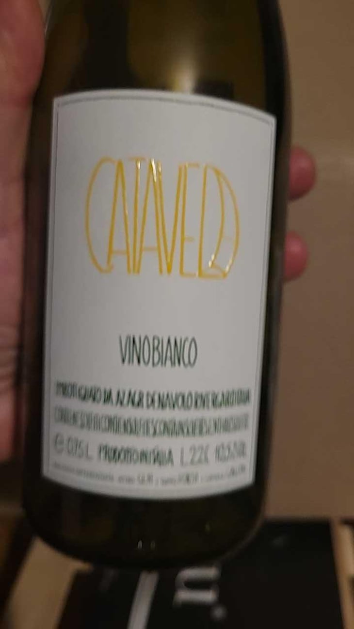 Catavela - Azienda Agricola Denavolo - Giulio Armani 