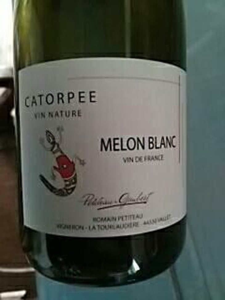 Catorpee Blanc - Domaine de la Tourlaudière - Romain Petiteau 
