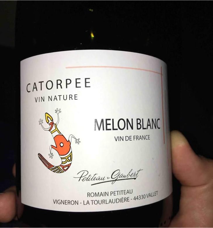Catorpee Blanc - Domaine de la Tourlaudière - Romain Petiteau 