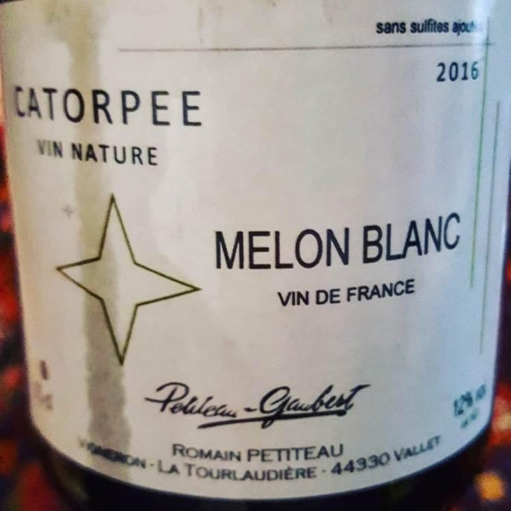 Catorpee Blanc - Domaine de la Tourlaudière - Romain Petiteau 