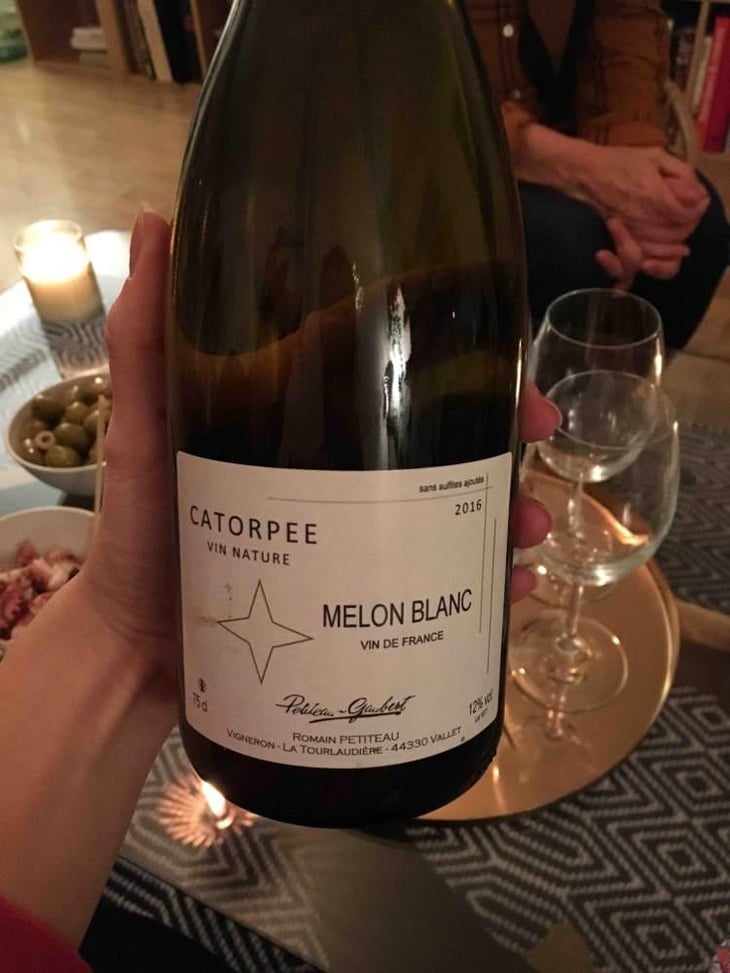 Catorpee Blanc - Domaine de la Tourlaudière - Romain Petiteau 