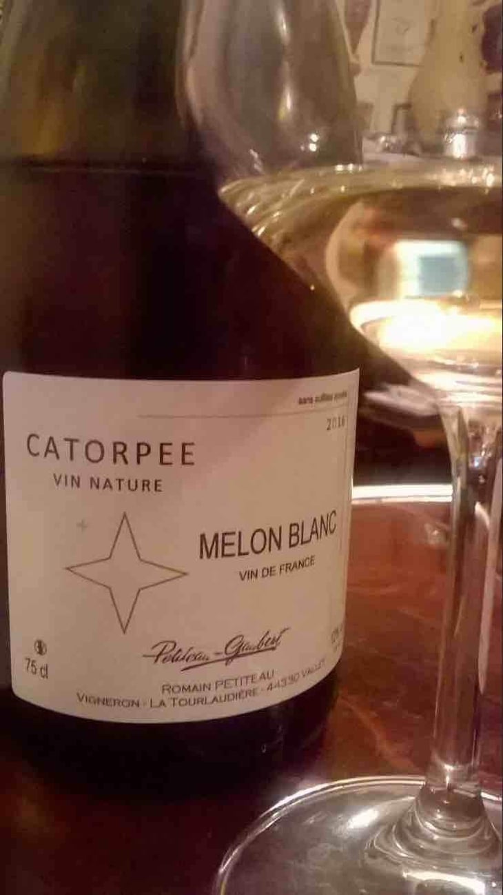 Catorpee Blanc - Domaine de la Tourlaudière - Romain Petiteau 