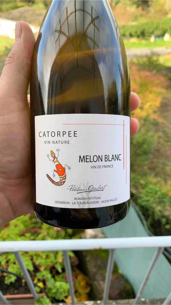 Catorpee Blanc - Domaine de la Tourlaudière - Romain Petiteau 
