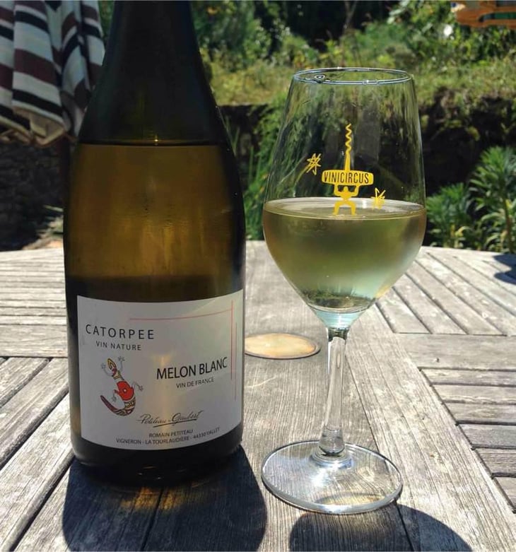 Catorpee Blanc - Domaine de la Tourlaudière - Romain Petiteau 
