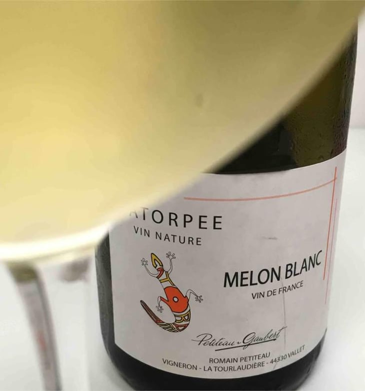 Catorpee Blanc - Domaine de la Tourlaudière - Romain Petiteau 