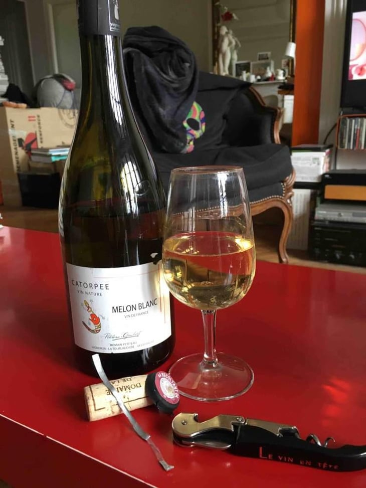 Catorpee Blanc - Domaine de la Tourlaudière - Romain Petiteau 
