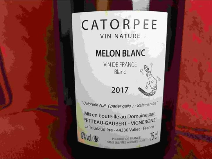 Catorpee Blanc - Domaine de la Tourlaudière - Romain Petiteau 