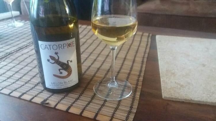 Catorpee Blanc - Domaine de la Tourlaudière - Romain Petiteau 