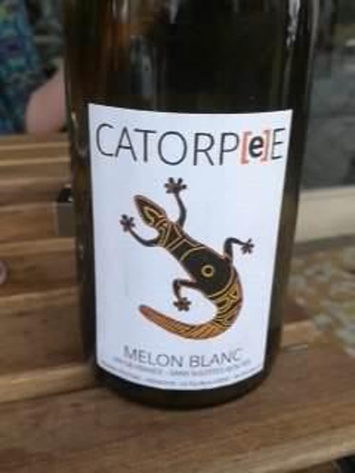 Catorpee Blanc - Domaine de la Tourlaudière - Romain Petiteau 