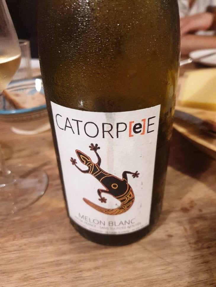 Catorpee Blanc - Domaine de la Tourlaudière - Romain Petiteau 