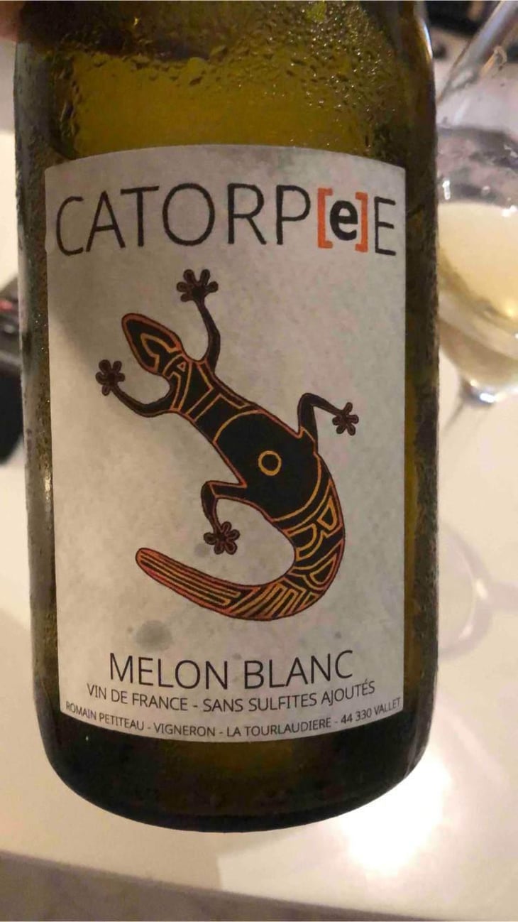 Catorpee Blanc - Domaine de la Tourlaudière - Romain Petiteau 