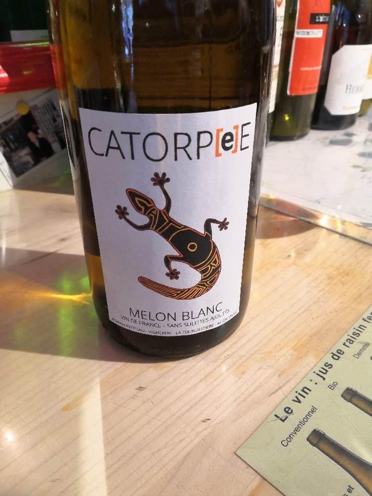 Catorpee Blanc - Domaine de la Tourlaudière - Romain Petiteau 