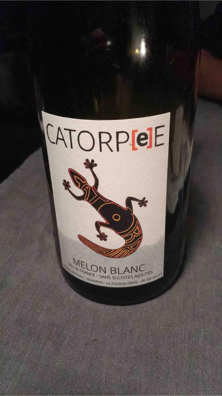 Catorpee Blanc - Domaine de la Tourlaudière - Romain Petiteau 
