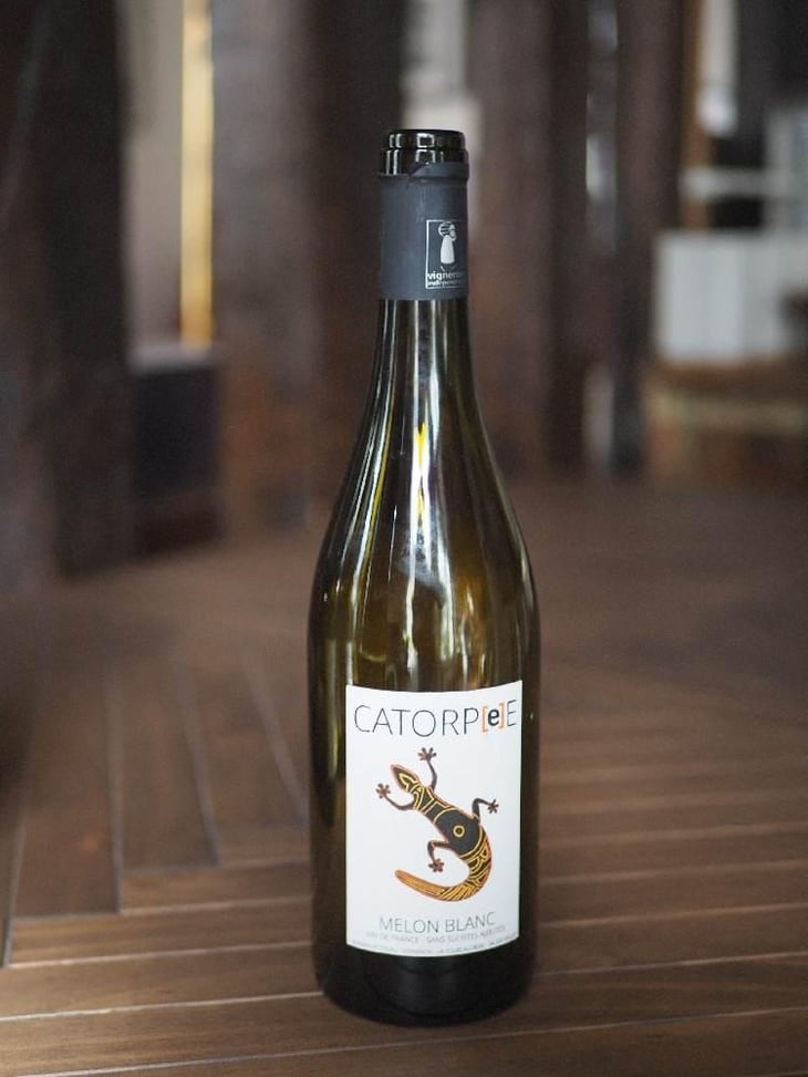 Catorpee Blanc - Domaine de la Tourlaudière - Romain Petiteau 
