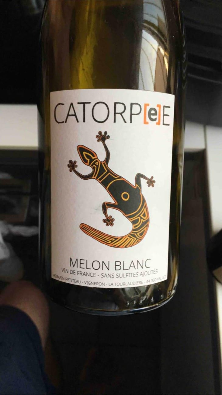 Catorpee Blanc - Domaine de la Tourlaudière - Romain Petiteau 