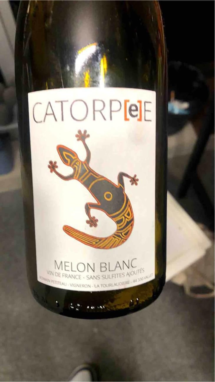 Catorpee Blanc - Domaine de la Tourlaudière - Romain Petiteau 